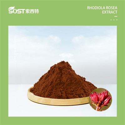 تاچ نایک 20240808