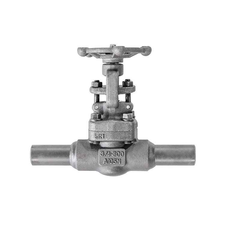 چگونه شیر میکرو اگزوز را درک کنیم؟ 浙江橙树-无敌队-郑清